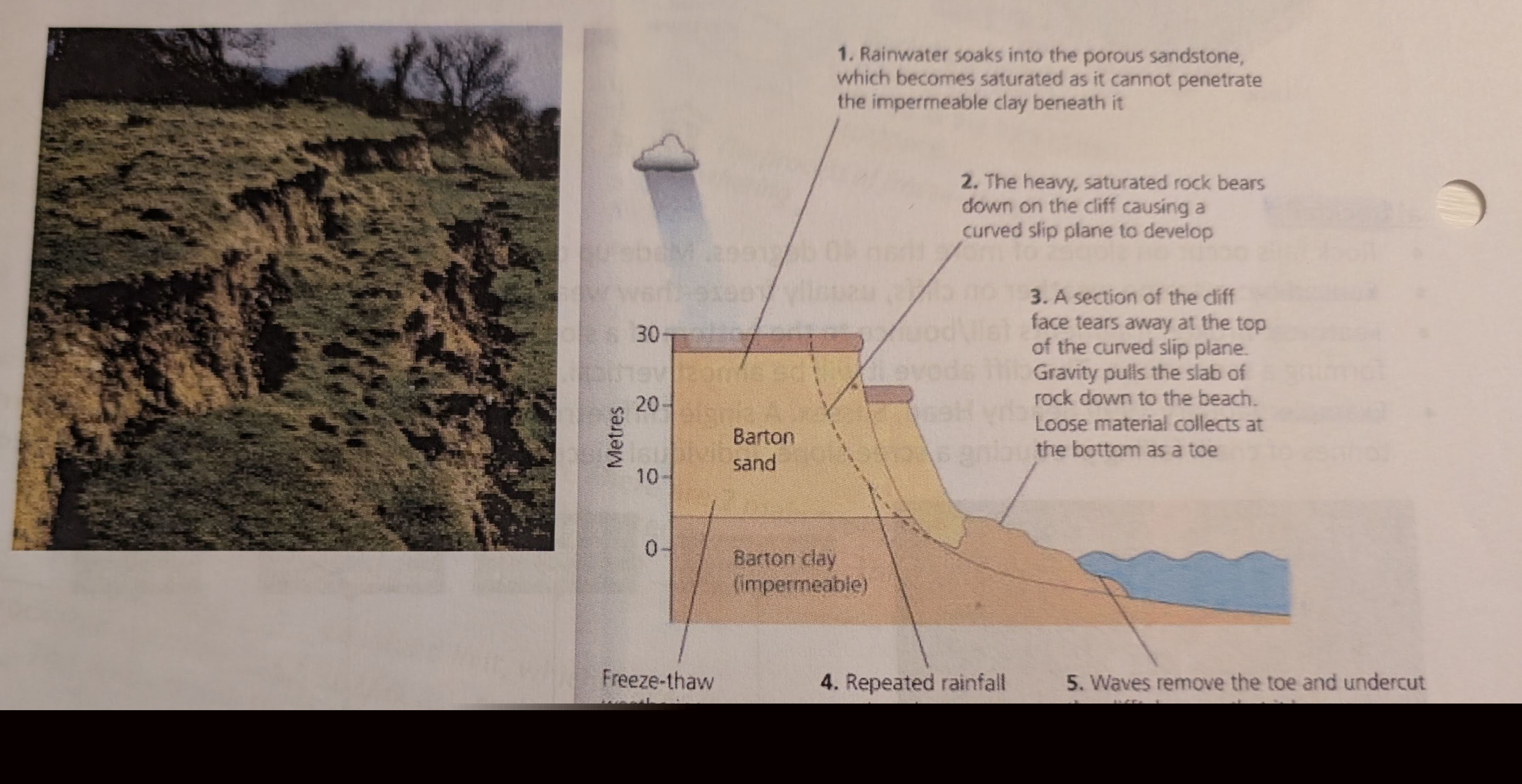 <p>Describe a rotational slump (formation and features).</p>