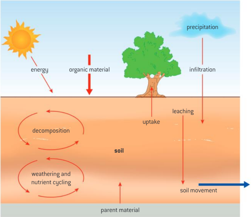 knowt flashcard image