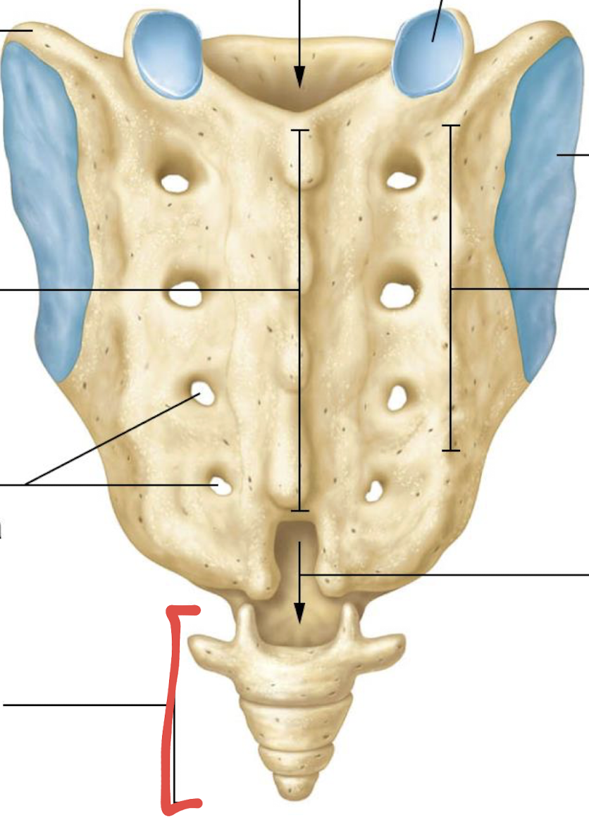 <p>what is this?</p>