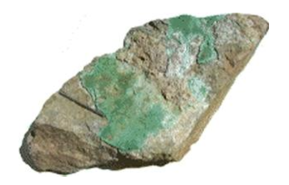 <p>essential</p>