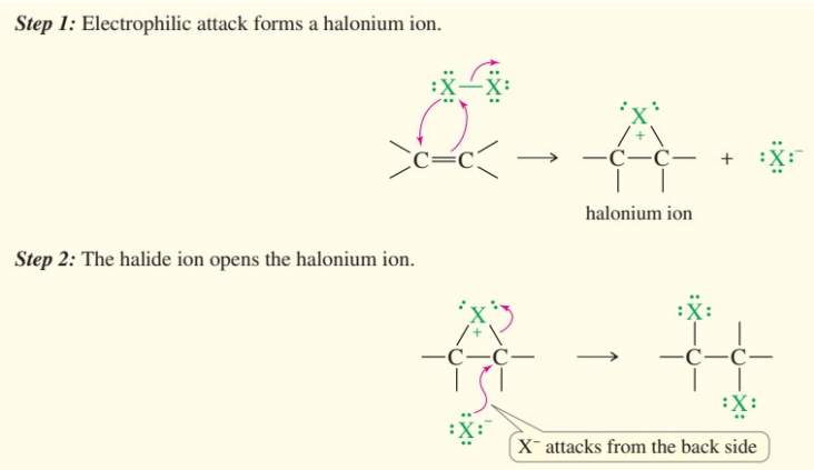 <ol><li><p>form halonium</p></li><li><p>2nd halide ion attacks backside</p></li></ol><p></p>