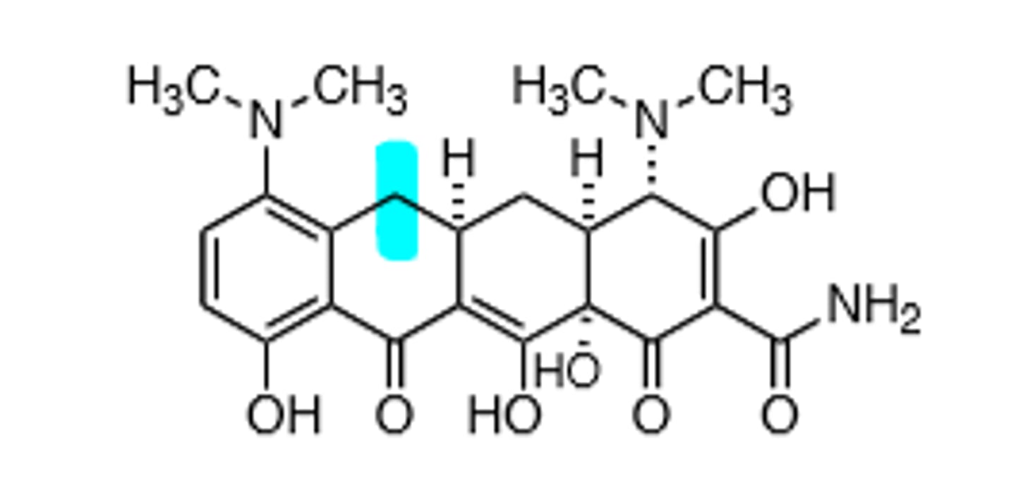 <p>Lacks a C-6 hydroxyl group, which means it does not undergo dehydration, synthesized from demeclocycline, 90-100% oral bioavailability, chelating agent, will bind to metal ions, which causes the drug to not get absorbed in the GI tract as well, avoid drinking milk to prevent 20% absorption decrease. broad-spectrum. Vestibular toxicities unique to this drug.</p>