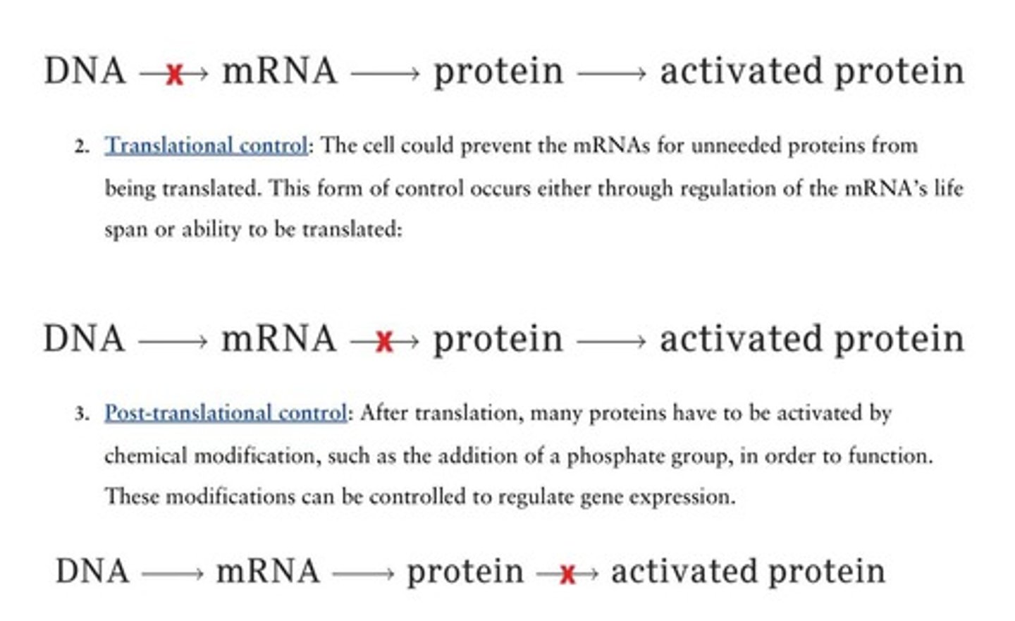 <p>Transcriptional control, translational control, and post-translational control.</p>