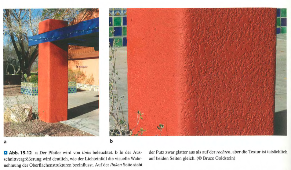 <p class=""><strong>Kurzfassung:</strong><br>Die <strong>Duplex-Theorie</strong> unterscheidet zwei Arten von Hinweisreizen zur <strong>Texturwahrnehmung</strong>:<br><strong>Räumliche Reize</strong> (z. B. Erhebungen) erfassen <strong>grobe Strukturen</strong>, <strong>zeitliche Reize</strong> (Vibrationen bei Bewegung) sind nötig für <strong>feine Texturen</strong> – auch bei Werkzeuggebrauch.</p><p class=""></p><p class=""><strong>Langfassung:</strong></p><ul><li><p class=""><strong>Grundlage:</strong></p><ul><li><p class="">Die <strong>Duplex-Theorie der Texturwahrnehmung</strong> (Katz, 1925) besagt, dass die Wahrnehmung von Oberflächenstrukturen auf <strong>zwei Arten von Hinweisreizen</strong> beruht:</p><ul><li><p class=""><strong>Räumliche Reize</strong> (z. B. Form, Grösse, Anordnung von Oberflächenmerkmalen)</p></li><li><p class=""><strong>Zeitliche Reize</strong> (v. a. durch <strong>Vibrationen bei Bewegung</strong>)</p></li></ul></li></ul></li></ul><p class=""></p><ul><li><p class=""><strong>Räumliche Hinweisreize:</strong></p><ul><li><p class="">Wahrnehmbar <strong>bei statischem Kontakt</strong> oder <strong>langsamen Bewegungen</strong>.</p></li><li><p class="">Ermöglichen die Erkennung <strong>grosser Texturen</strong> wie Braille-Punkte oder Kammzähne.</p></li></ul></li></ul><p class=""></p><ul><li><p class=""><strong>Zeitliche Hinweisreize:</strong></p><ul><li><p class="">Entstehen bei <strong>Streichen über feine Strukturen</strong> (z. B. Schmirgelpapier).</p></li><li><p class="">Erzeugen <strong>hochfrequente Vibrationen</strong>, die entscheidend für die Wahrnehmung <strong>feiner Texturen</strong> sind.</p></li><li><p class=""><strong>Hollins & Risner (2000):</strong> Zeigten, dass <strong>feine Unterschiede in Rauigkeit</strong> nur beim <strong>bewegten Kontakt</strong> wahrgenommen werden können.</p></li></ul></li></ul><p class=""></p><ul><li><p class=""><strong>Werkzeuggebrauch:</strong></p><ul><li><p class="">Auch <strong>indirekte Berührung</strong>, z. B. über einen Stift, vermittelt <strong>Texturinformation über Vibrationen</strong>.</p></li><li><p class="">Wahrgenommen wird nicht das Werkzeug, sondern die <strong>Oberflächenbeschaffenheit selbst</strong> (Klatzky et al., 2003).</p></li></ul></li></ul><p class=""></p><ul><li><p class=""><strong>Fazit:</strong></p><ul><li><p class=""><strong>Grobe Texturen</strong>: Wahrnehmung über <strong>räumliche Reize</strong></p></li><li><p class=""><strong>Feine Texturen</strong>: Wahrnehmung über <strong>zeitliche Reize</strong> (nur bei Bewegung)</p></li><li><p class="">Diese Reize <strong>ergänzen sich</strong> und erklären die hohe Präzision des Tastsinns.</p></li></ul></li></ul><p></p>