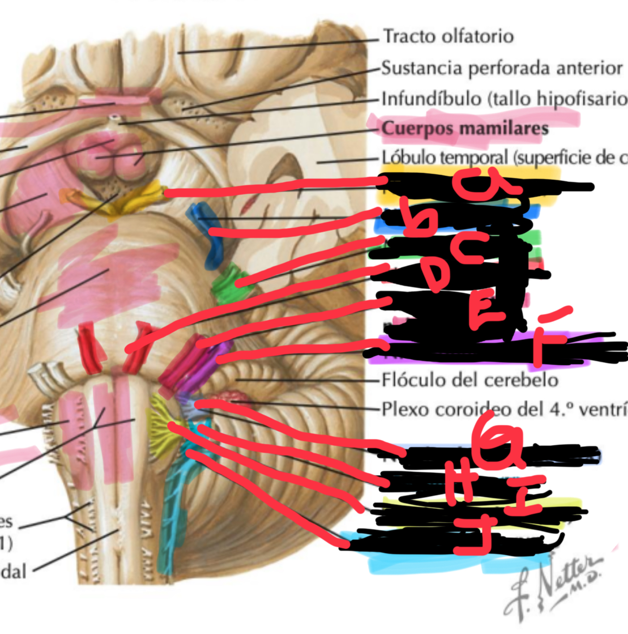 <p>NC J </p>