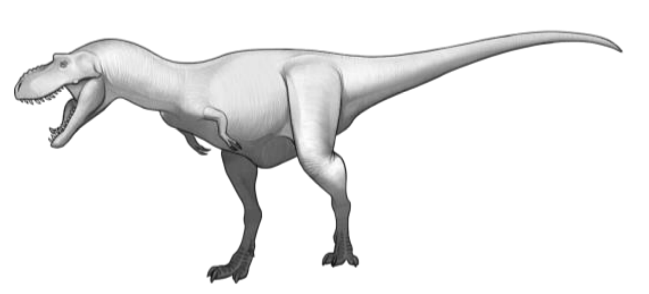 <p>Theropods</p>
