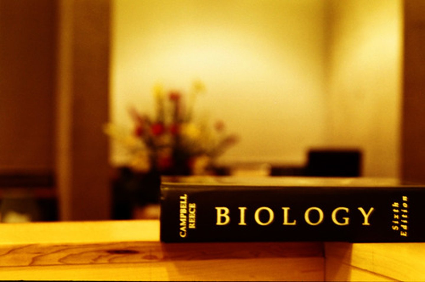 <p>biology</p>