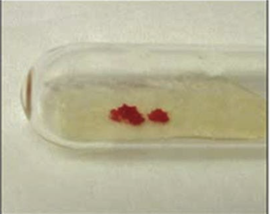<p>Haemagglutination reaction</p>