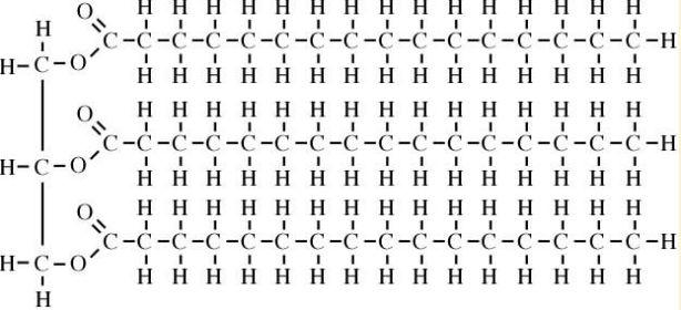 <p class="MsoNormal">Triglyceride</p>