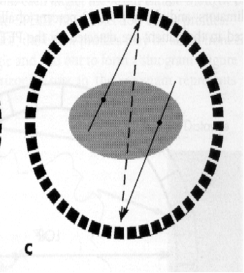 <p>This is an example of _____ coincidence</p>