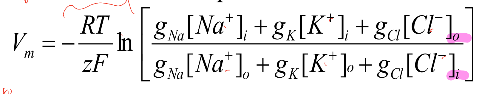 <p>a more accurate equation to represent resting membrane potential, takes into account conductance and permeability factors of the ions, if the g is very much greater for one ion than the others the eq will reduce to the nernst equation (also g = p essentially)</p>