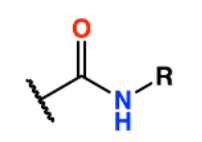 <p>Secundair Amide</p>