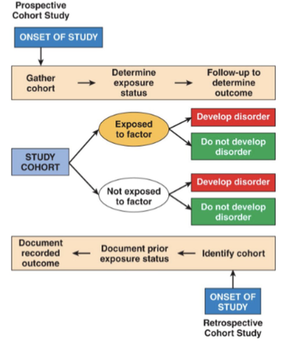 <p>- prospective or retrospective</p><p>- types of cohorts: inception, birth, historical, development</p><p>- subject selection: free from target outcome at baseline, susceptible to outcome</p><p>- challenges: classifying exposure, attrition</p>