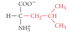 <p>What is the name of the amino acid?</p>