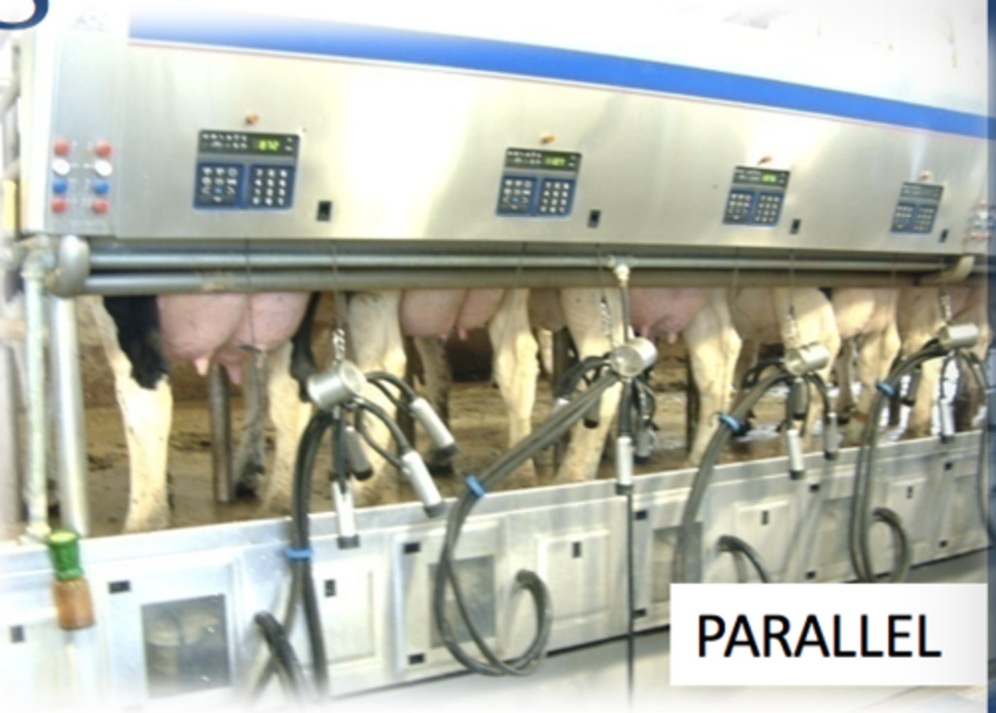 <p>What type of milking parlor is this?</p>
