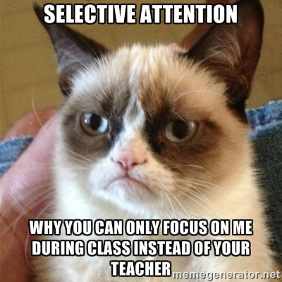 <p>Ability to focus on only one stimulus from among all sensory input</p>