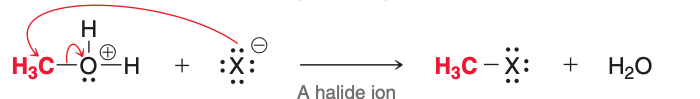 <p>The third and fourth (pictured) steps of acidic cleavage result in the formation of </p>