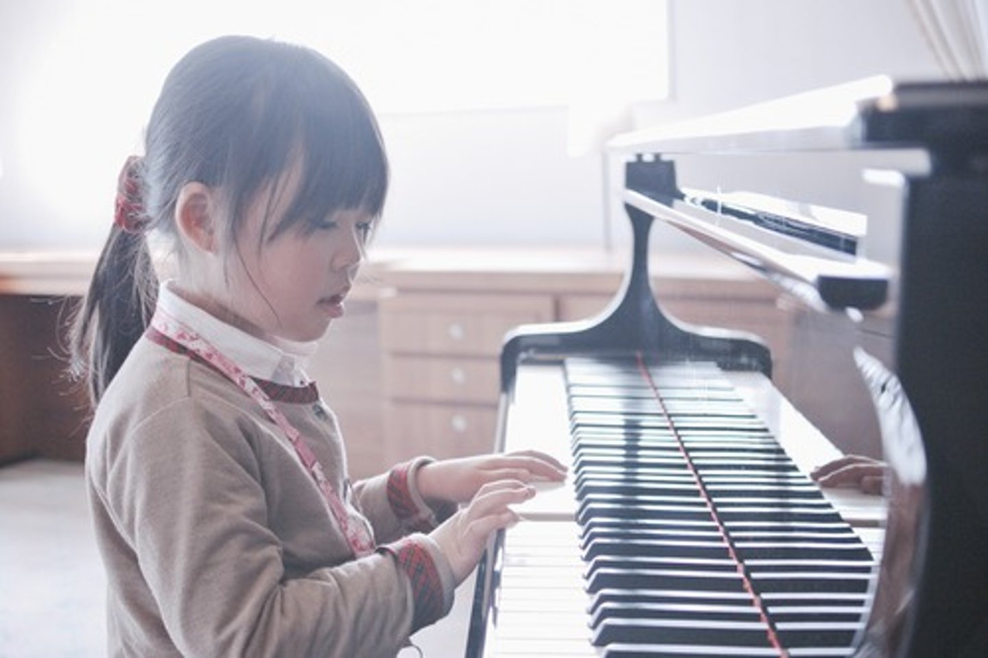 <p>the piano lesson (class)</p>