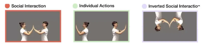 <ul><li><p>Infants differentiate facing vs non-facing dyads very early (at least by 6 months).</p></li><li><p>By 14 months, selectively attend to interactions.</p></li><li><p>fNIRS evidence that dmPFC (and STC and vmPFC) preferentially process social interactions in infants (6 – 13 months).</p></li><li><p>Suggests sensitivity to interactive information develops early</p></li></ul><p></p>
