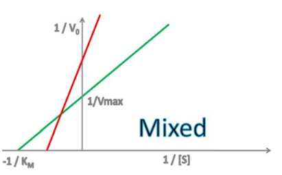 <p><u>Enzyme Kinetics - Mixed Inhibition</u></p><p>Does mixed inhibition change the y-intercept?</p><p>Does mixed inhibition change the x-intercept?</p>