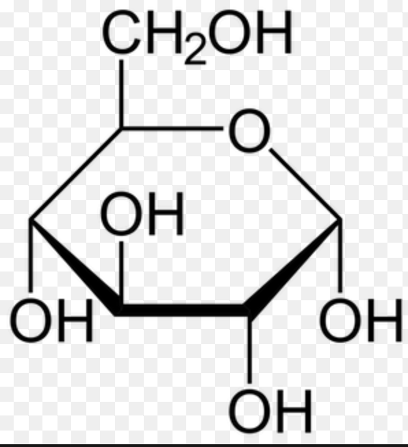 <p>what macromolecule does this structure represent?</p>