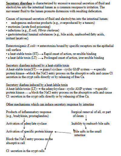 <p>Characterized by <strong>excessive mucosal secretion of fluid and electrolytes into the intestinal lumen.</strong> Resulting in distension, increased frequency of defecation. </p><p><strong>causes</strong>: endogenous endocrine products (overproduced by tumors), exotoxins (acute food poisoning), infections (E. coli), GI luminal substances - bile acids, unabsorbed FA. </p><ul><li><p><strong>Enterotoxins -</strong> bacteria like E.Coli produce these</p><ul><li><p><strong>heat-stable toxin (ST):</strong> activates the guanyl cyclase-cyclic GMP system, blocking NaCl entry + causing Cl-secretion.</p></li><li><p><strong>heat-labile toxin (LT)</strong>: activates adenylcyclase-cyclic AMP system, also blcoking NaCl entry + causing Cl-secretion.</p></li></ul></li><li><p><strong>Other mechanisms: </strong>products of inflammatory response (bradykins), surgical removal of all/part of ileum → inability to reabsorb bile salts</p></li></ul><p></p>