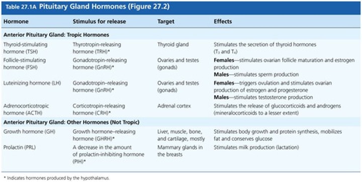 <p>Hormones that stimulate other endocrine glands.</p>