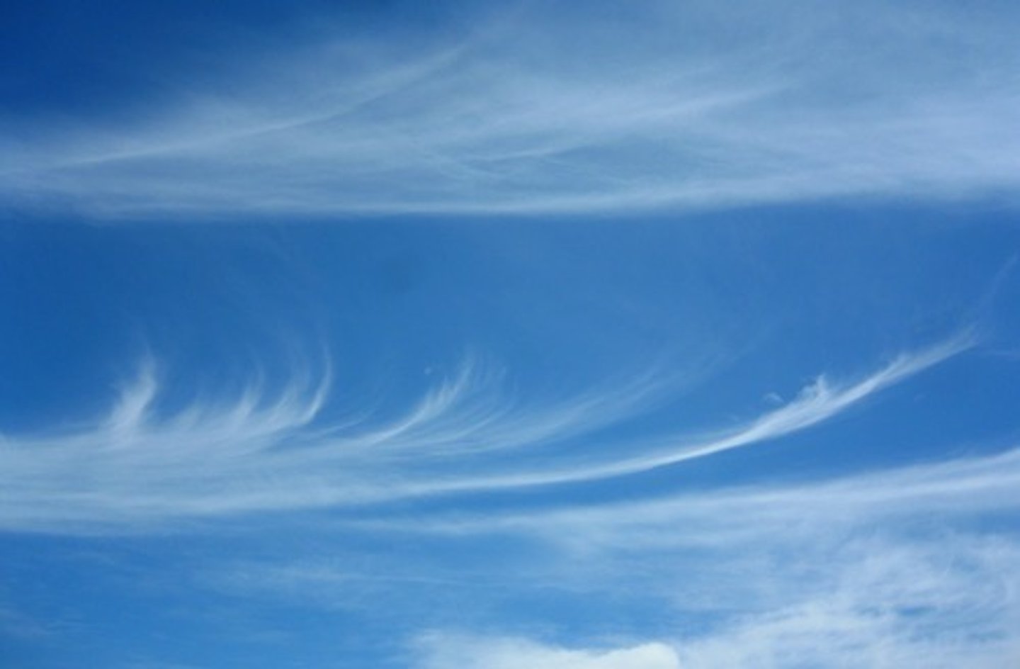 <p>High clouds that are thin and/or wispy</p><p>1 multiple choice option</p>
