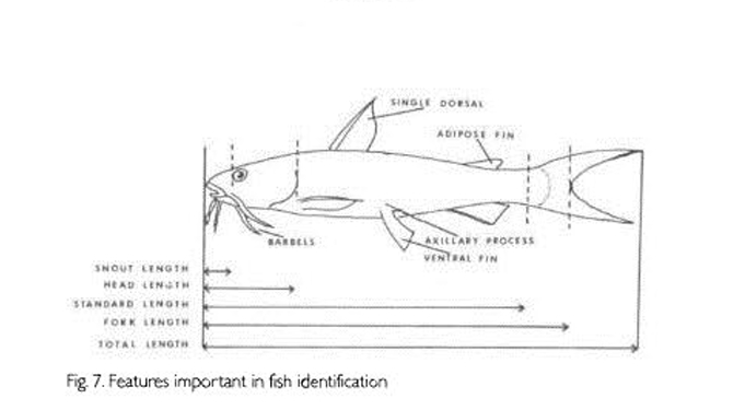 <p>Measured in various ways.</p>