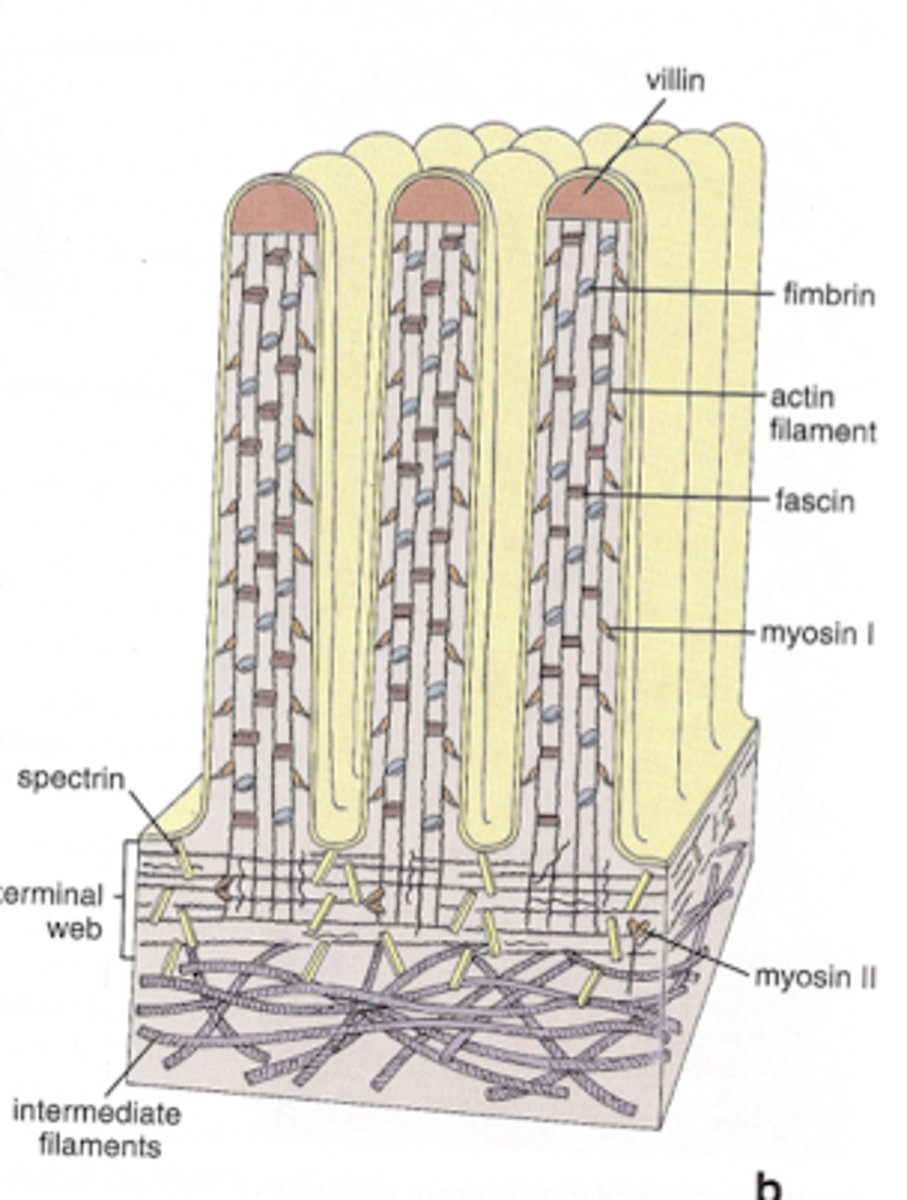 <p>what type of surface modification is this</p>