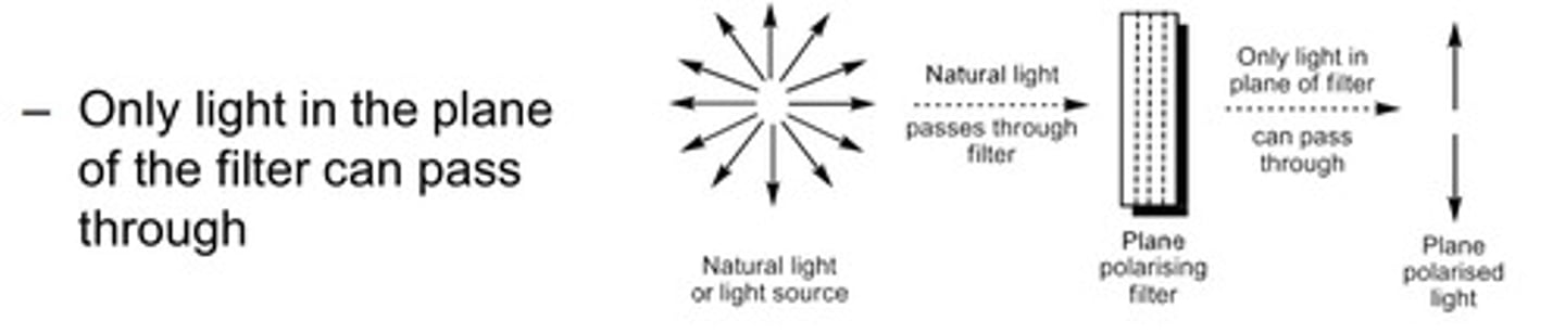<p>- PPL is produced by passing light through a polarising filter.</p>