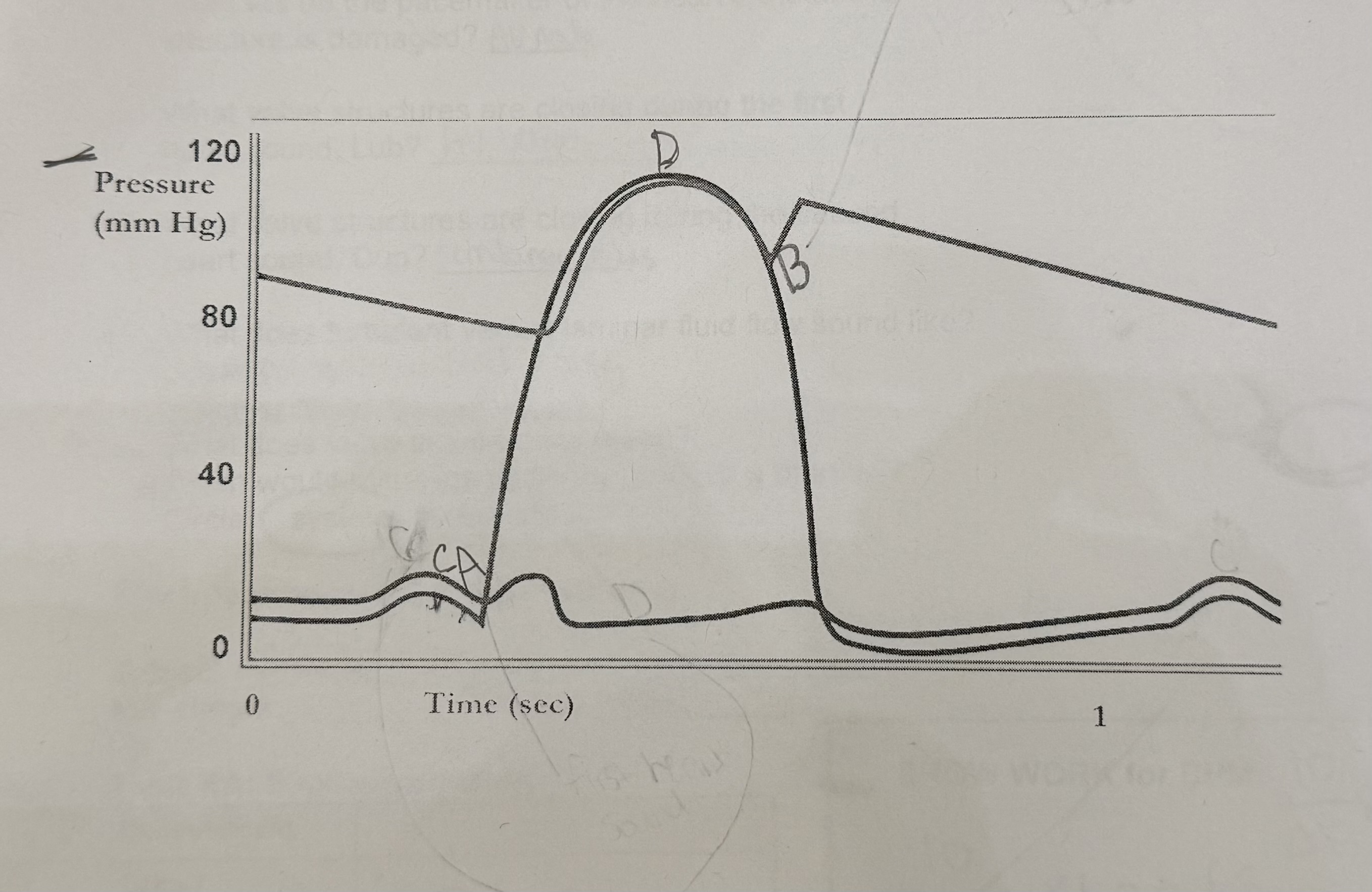 <p>What should happen at D?</p>