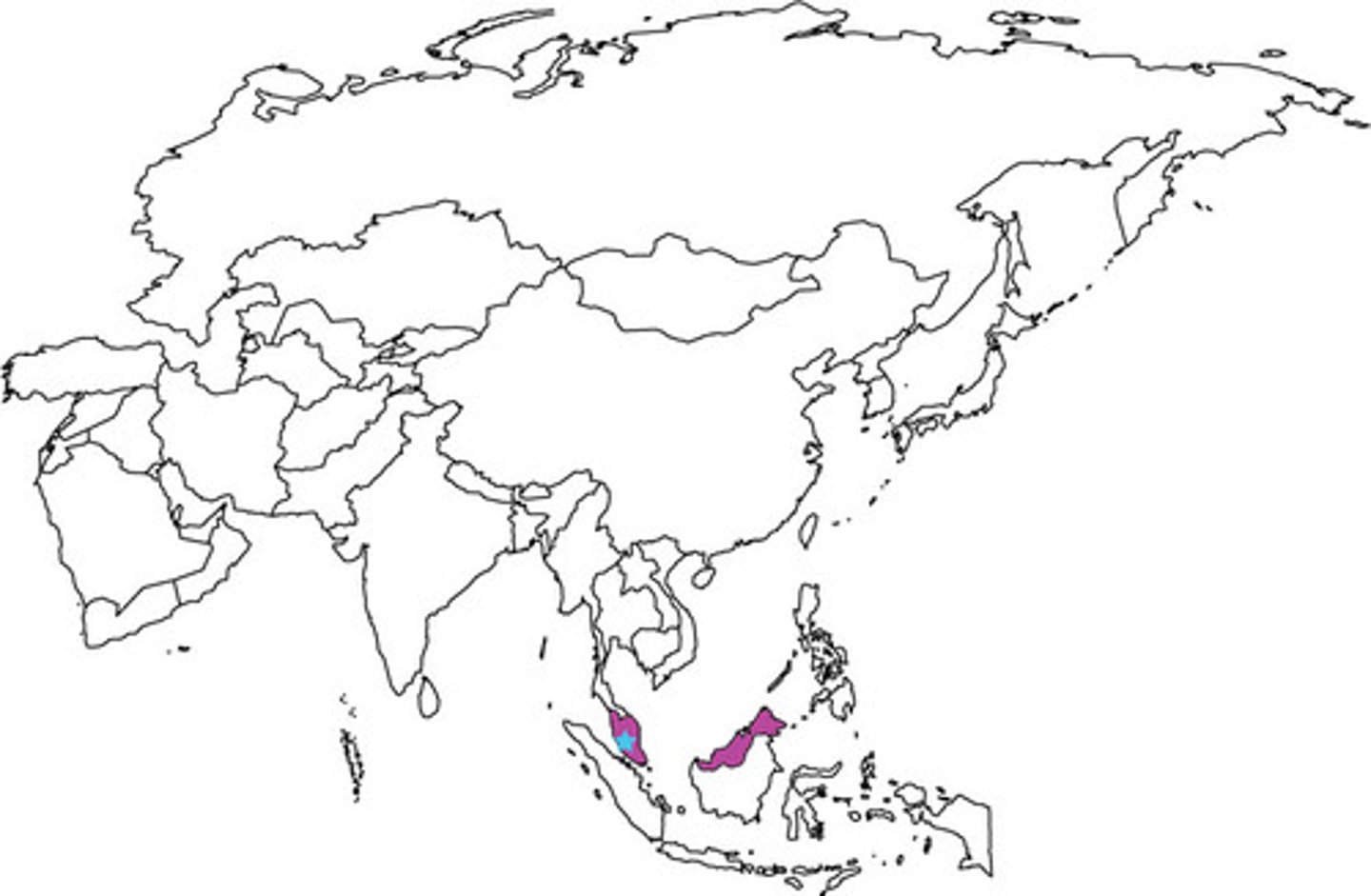 <p>19</p>