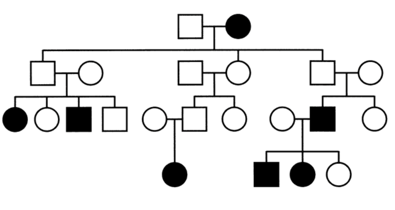 <p>This pedigree is consistent with: </p><p>maternal imprinting</p><p>paternal imprinting</p><p>neither</p>