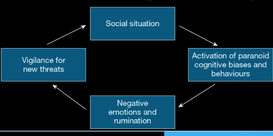 <p>pattern of distrust and suspiciousness that others’ motives are interpreted as malevolent/aggressive</p><ul><li><p>beliefs are immune to disconfirming evidence</p></li><li><p>difficult to treat due to suspicion of the therapist</p></li><li><p>get stuck in a loop of:</p><ul><li><p>a social situation</p></li><li><p>activation of paranoid cognitive biases and behaviour</p></li><li><p>negative emotions and rumination</p></li><li><p>vigilance for new threats</p></li></ul></li><li><p>Cluster A</p></li></ul><p></p>