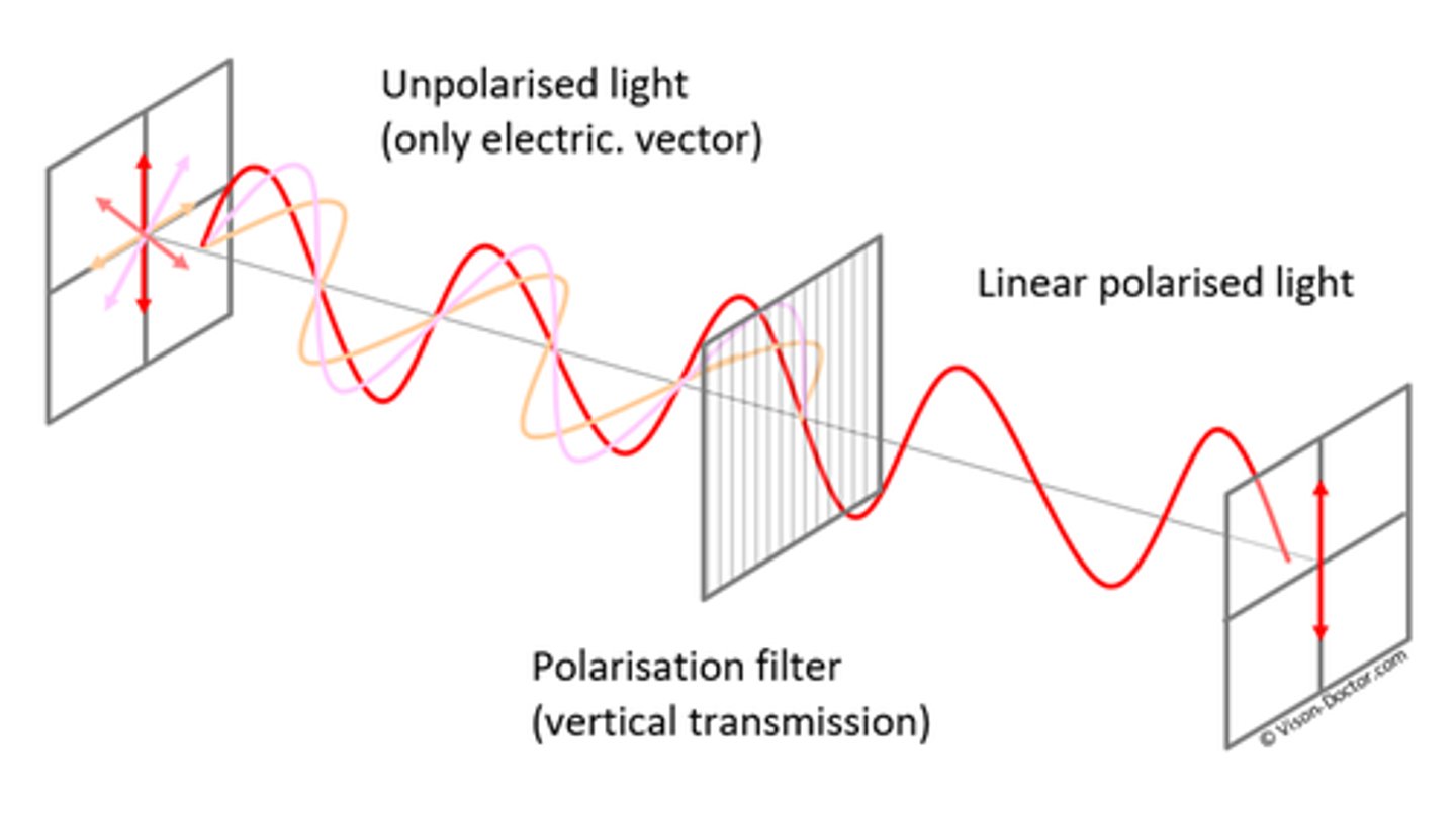 <p>- Polarisation is unique to transverse waves.</p><p>- It is when the oscillation of the wave is restricted to one plane only.</p>