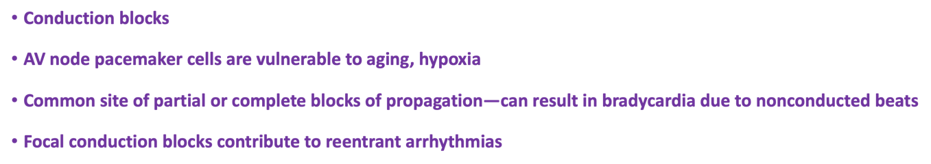 <p>What does this refer to “Prolonged PR interval” <em>look at image</em></p>