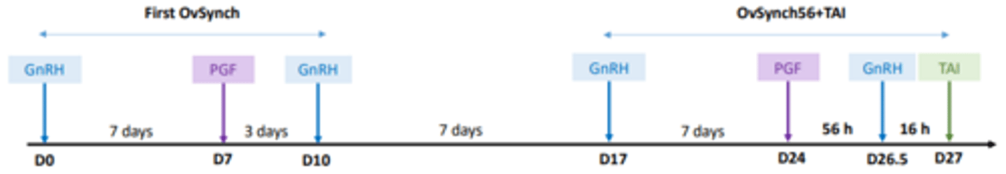 <p>- Presynchronization is done by implication of OvSynch protocol without performing TAI on D10 for cycling and non-cycling cows</p><p>- OvSynch+TAI initiated 7 days later from the second GnRH injection of the first OvSynch</p>