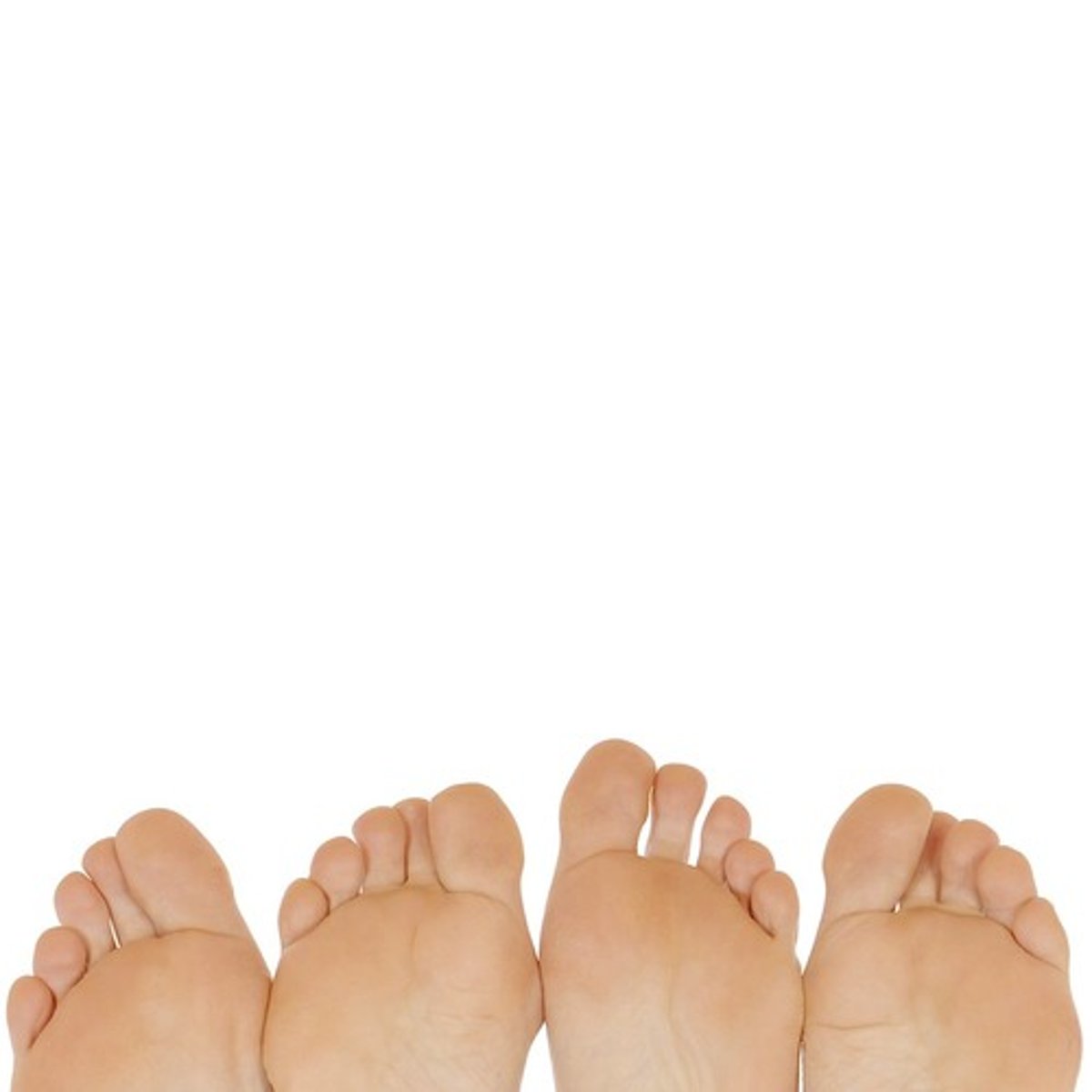 <p>toe</p>