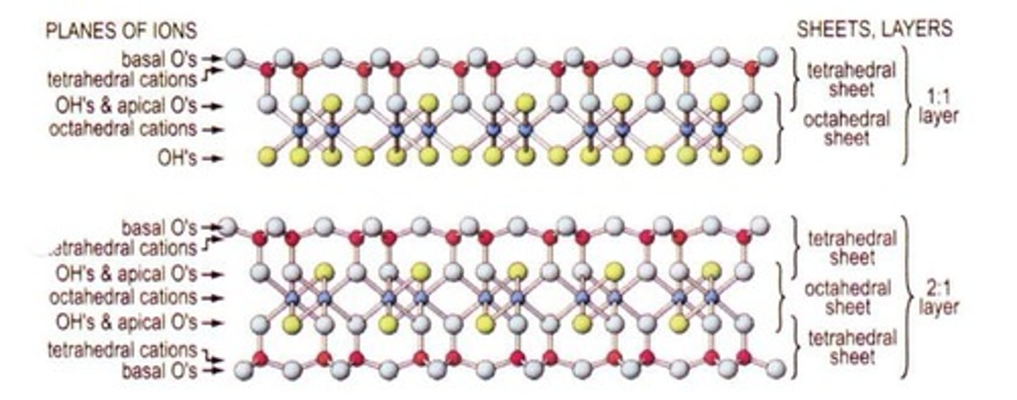 <p>1:1 silicate clays have one tetrahedral and one octahedral sheet, while 2:1 silicate clays have two tetrahedral sheets surrounding one octahedral sheet.</p>
