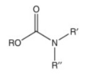 <p>What functional group is this?</p>