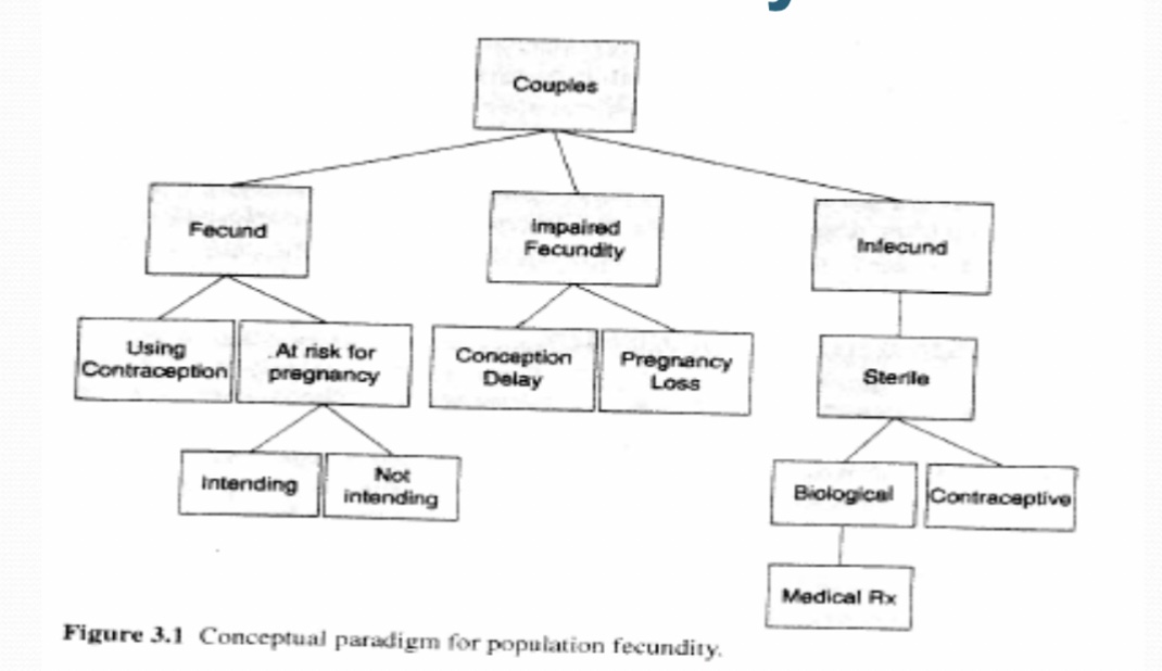 <p>fecundity</p><p><em>what?</em><br><em>male vs female?</em></p>