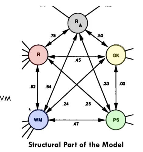 Correlations:
- Reasoning & WM r = 0.82
- Reasoning and General Knowledge r = 0.45
- WM and GenKnow r = 0.24
- Reasoning and ProcSpeed r = 0.25
- WM & ProcSpeed r = 0.47

Evidence for differentiation of the WM and Reasoning factors