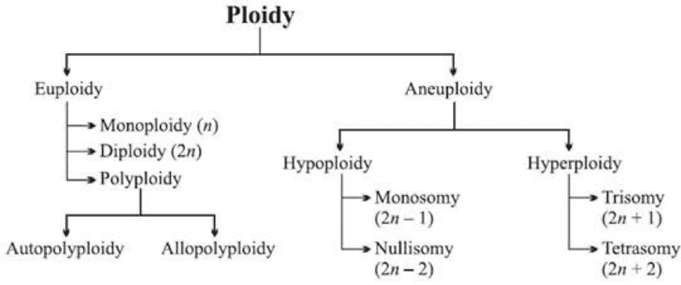 <p><span>A condition of having an abnormal number of chromosomes in a haploid set.</span></p>