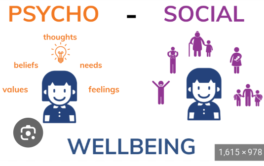 <p><span>the interaction between psychological (mental) and social factors that influence a person's health and well-being</span></p>