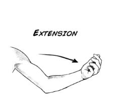 <p>increases the angle between two bones at a joint</p>