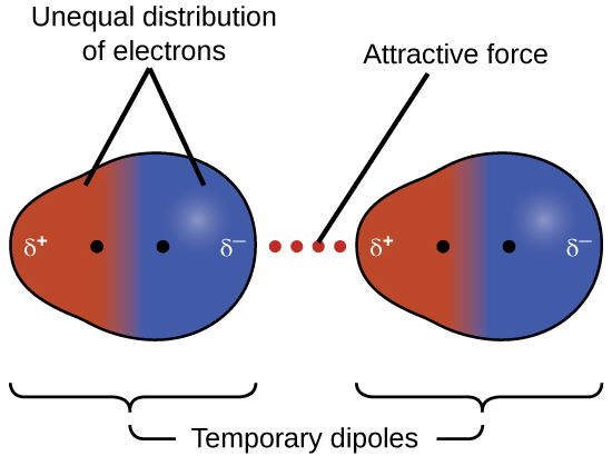 <p>A force that occurs as a result of the random constant motion of electrons. This force occurs in a special moment within which the electrons of a molecule are all in a certain region resulting in a partially positive charge in the opposite region and a partially negative charge in the region containing the electrons.</p><p>This partial charge in both region can then induce an opposing partial charge in nearby molecules by pushing electrons away or attracting them and thus attracting the whole molecule resulting in a temporary bond.</p>
