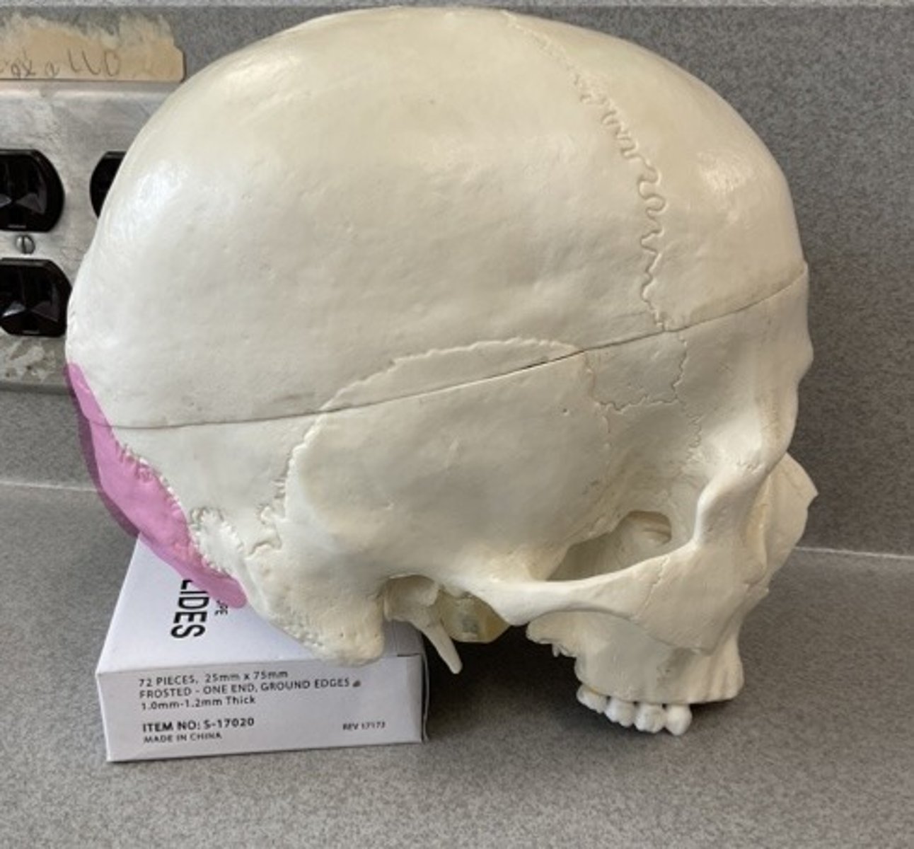 knowt flashcard image