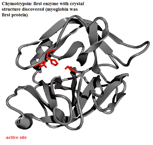 1. a protein
2. a catalyst
3. works best at optimum temperatures
4. denatures at higher temperatures
5. works best at optimum pH
6. specific to a reaction