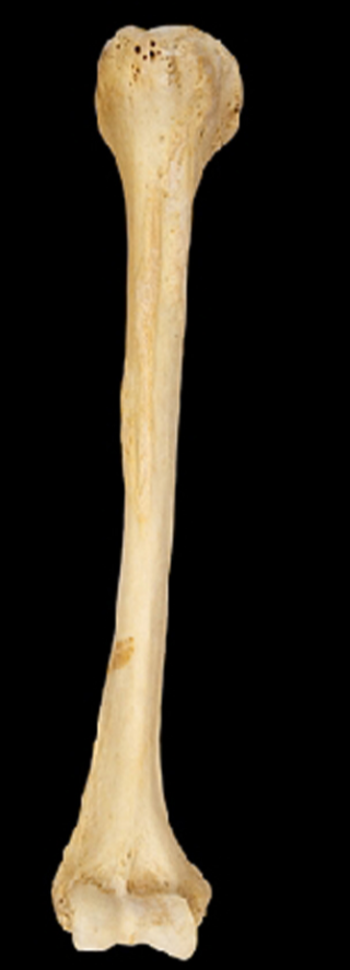 <p></p>